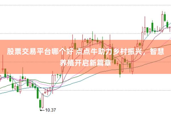 股票交易平台哪个好 点点牛助力乡村振兴，智慧养殖开启新篇章