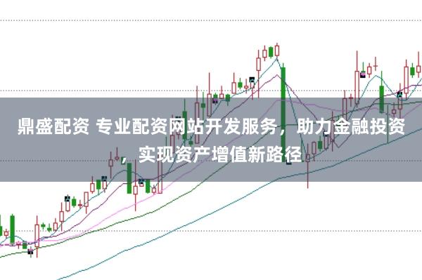 鼎盛配资 专业配资网站开发服务，助力金融投资，实现资产增值新路径