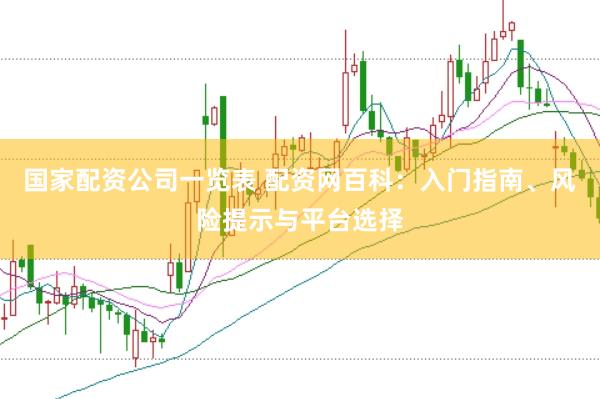 国家配资公司一览表 配资网百科：入门指南、风险提示与平台选择