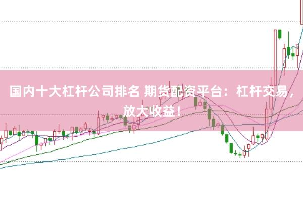 国内十大杠杆公司排名 期货配资平台：杠杆交易，放大收益！