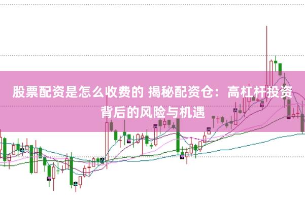 股票配资是怎么收费的 揭秘配资仓：高杠杆投资背后的风险与机遇