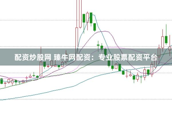配资炒股网 臻牛网配资：专业股票配资平台