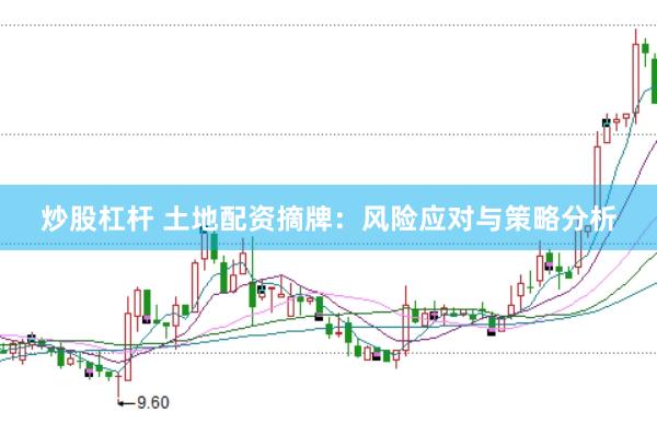 炒股杠杆 土地配资摘牌：风险应对与策略分析