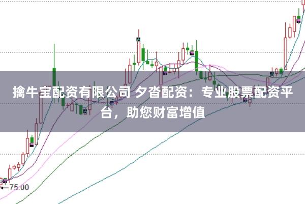 擒牛宝配资有限公司 夕沓配资：专业股票配资平台，助您财富增值
