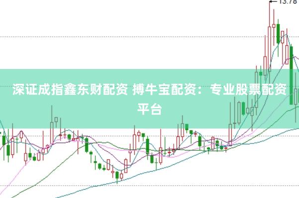深证成指鑫东财配资 搏牛宝配资：专业股票配资平台