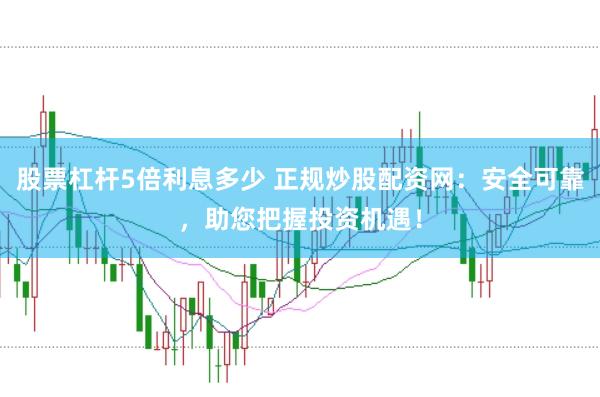 股票杠杆5倍利息多少 正规炒股配资网：安全可靠，助您把握投资机遇！