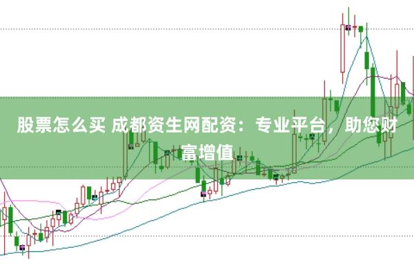 股票怎么买 成都资生网配资：专业平台，助您财富增值