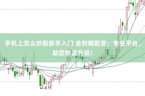 手机上怎么炒股新手入门 金财略配资：专业平台，助您财富升级！