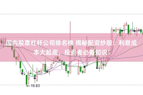 国内股票杠杆公司排名榜 揭秘配资炒股：利息成本大起底，投资者必备知识！