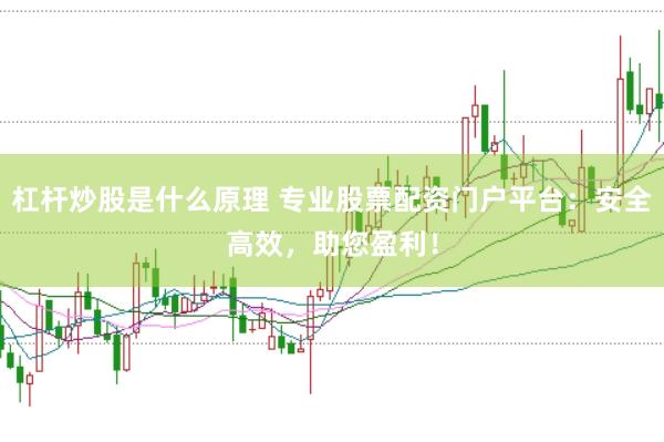 杠杆炒股是什么原理 专业股票配资门户平台：安全高效，助您盈利！