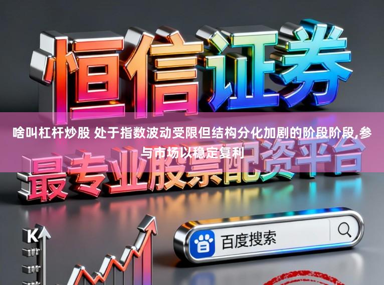 啥叫杠杆炒股 处于指数波动受限但结构分化加剧的阶段阶段，参与市场以稳定复利